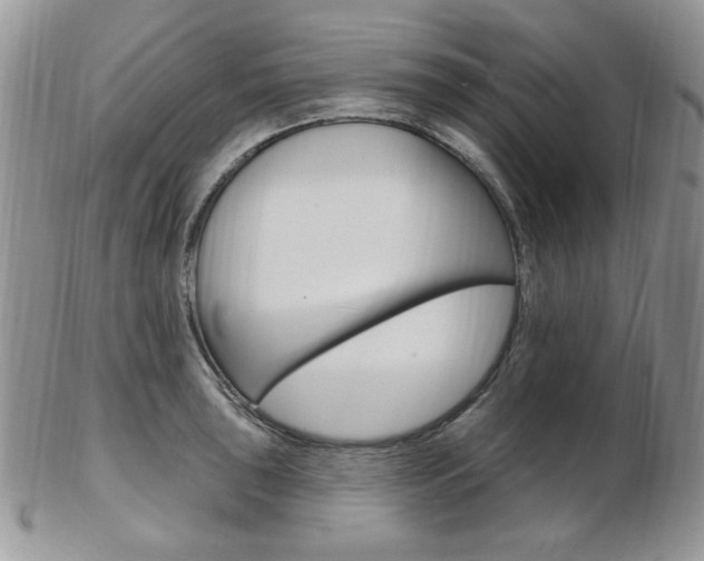 X0000103171043200808221124