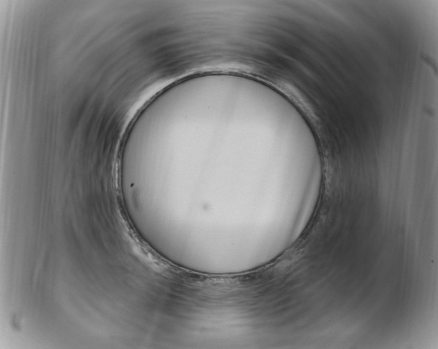 X0000103171044200808221124