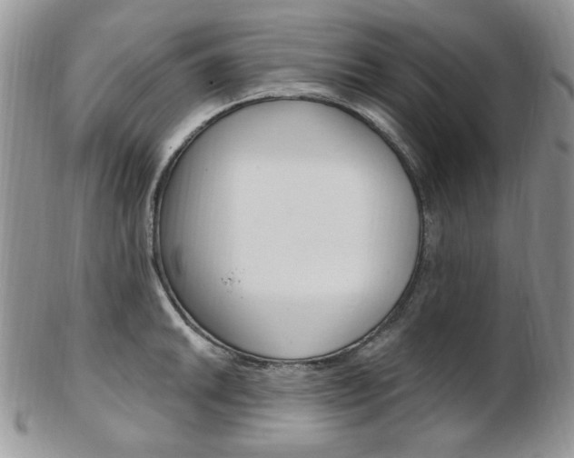 X0000103171046200808221124