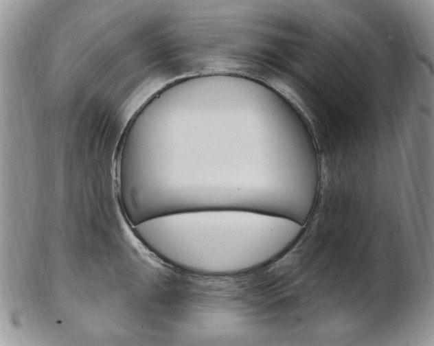 X0000103171047200808221124
