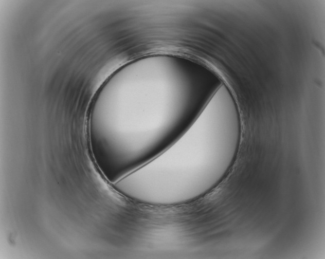X0000103171050200808221124