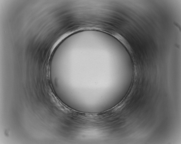 X0000103171052200808221124