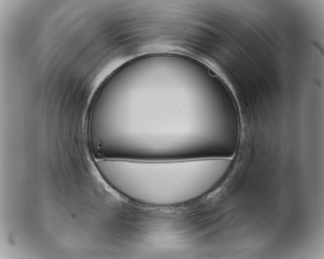 X0000103171053200808221124