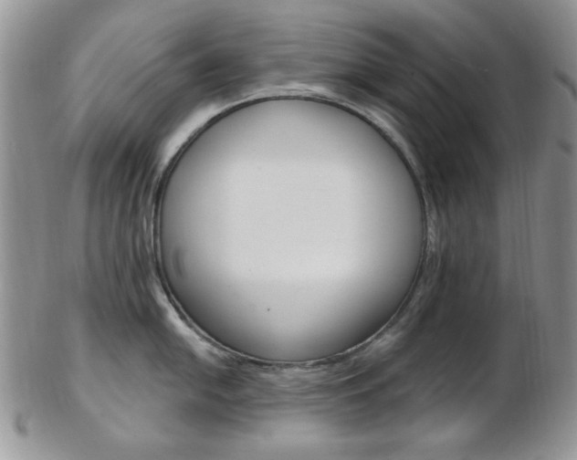 X0000103171054200808221124