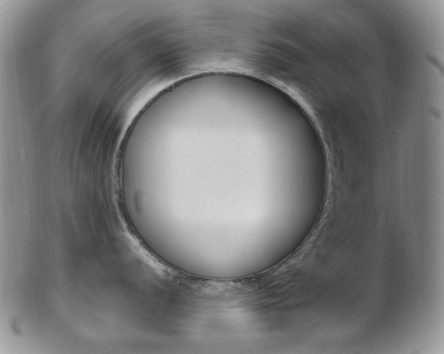 X0000103171056200808221124