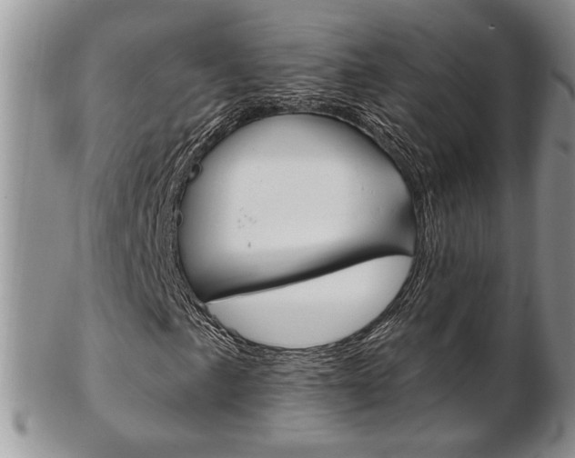 X0000103171057200808221123