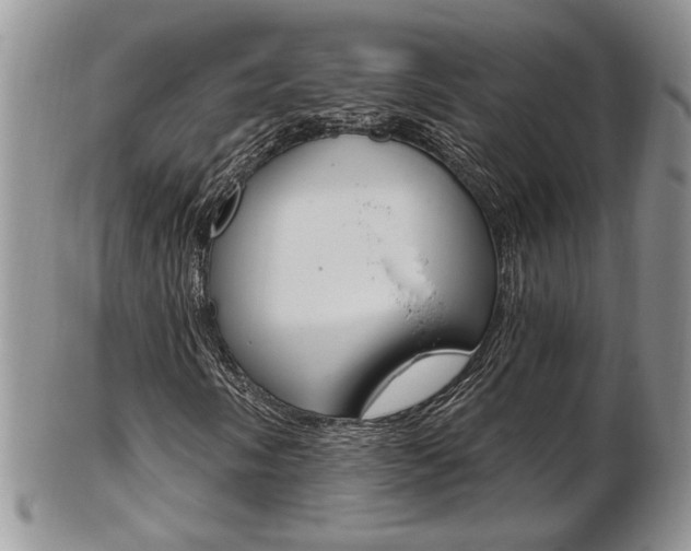 X0000103171058200808221123