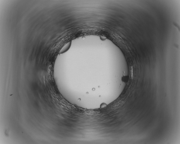 X0000103171059200808221123