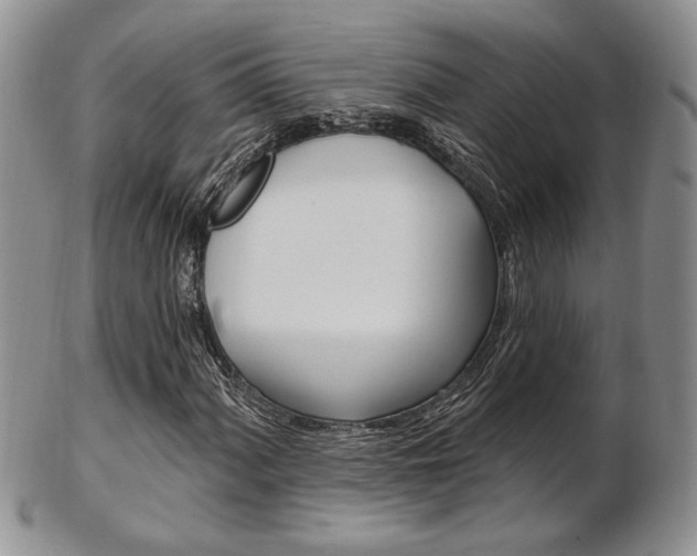 X0000103171060200808221123