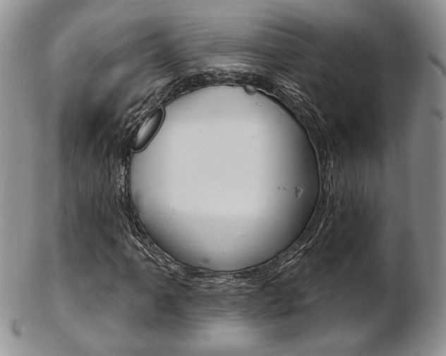 X0000103171061200808221123