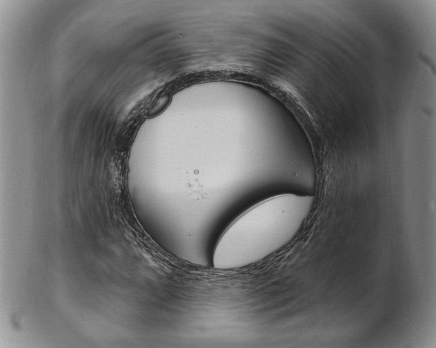 X0000103171064200808221123