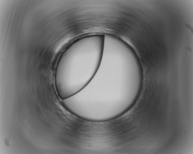 X0000103171067200808221123