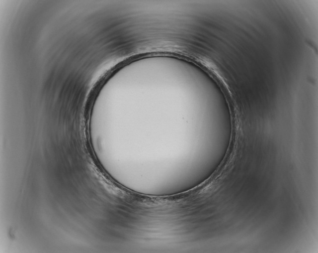 X0000103171072200808221123