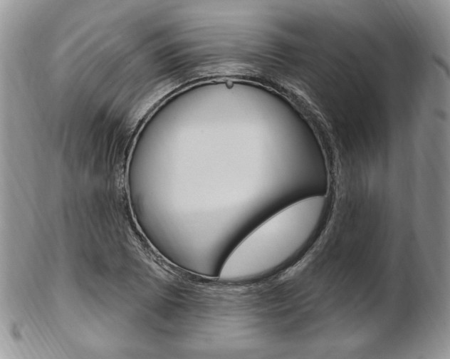 X0000103171073200808221123