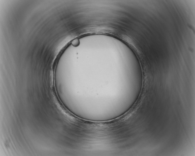X0000103171079200808221123