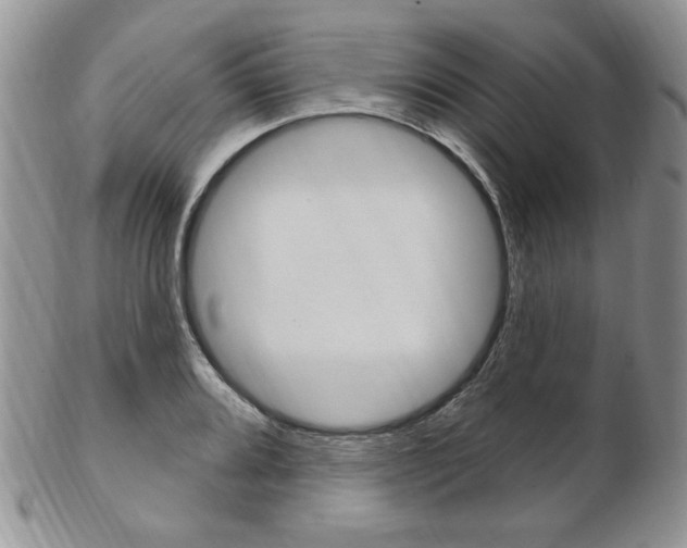 X0000103171080200808221123