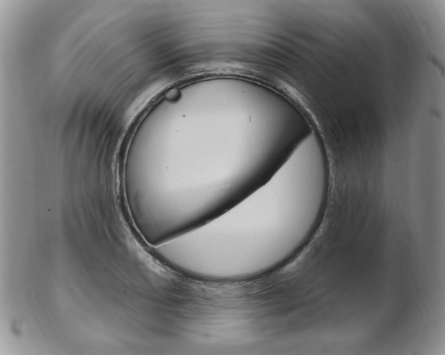 X0000103171082200808221123