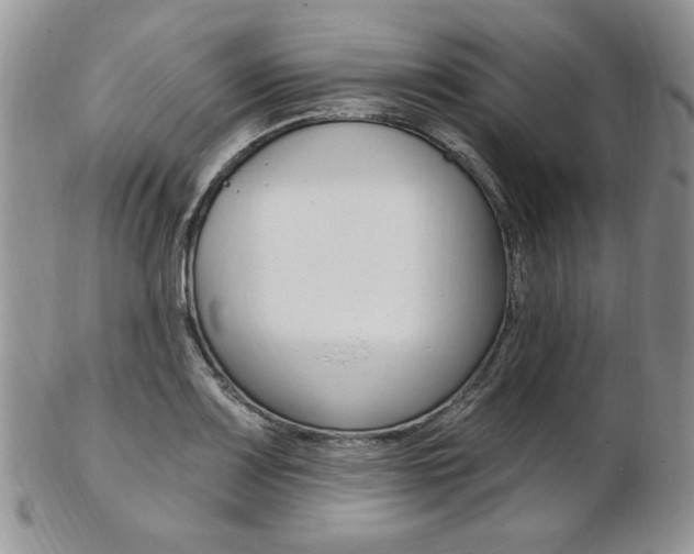 X0000103171083200808221123
