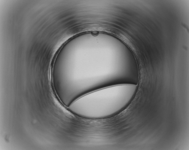 X0000103171084200808221123