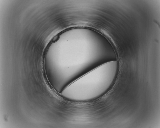 X0000103171085200808221123
