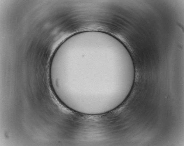 X0000103171086200808221123