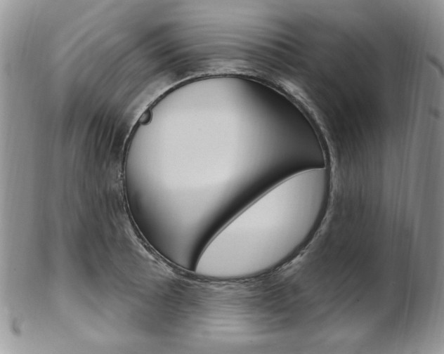 X0000103171089200808221123
