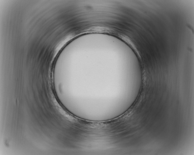 X0000103171091200808221123