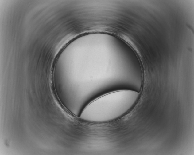 X0000103171093200808221123