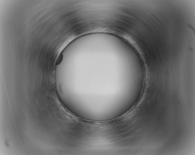 X0000103171097200808221122