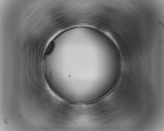 X0000103171100200808221122