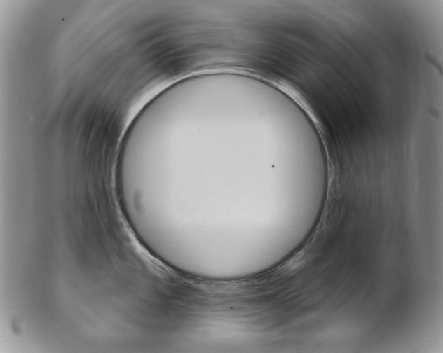 X0000103171101200808221122