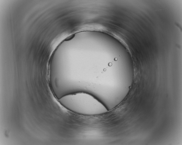 X0000103171103200808221122