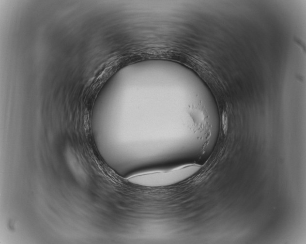 X0000103171107200808221122