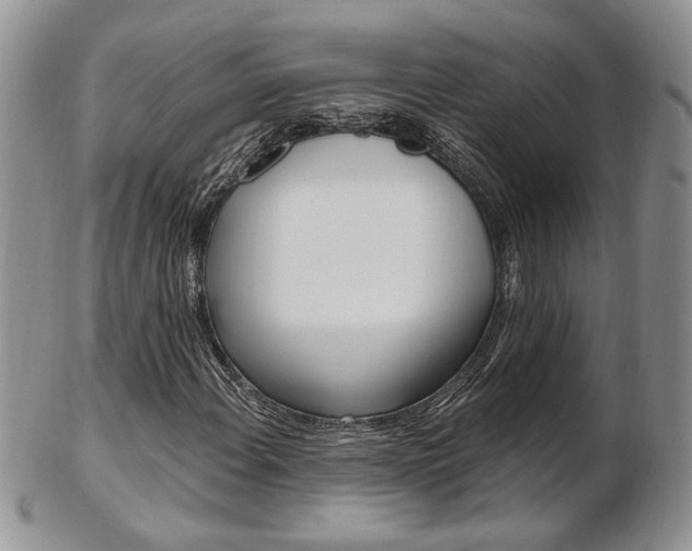 X0000103171108200808221122