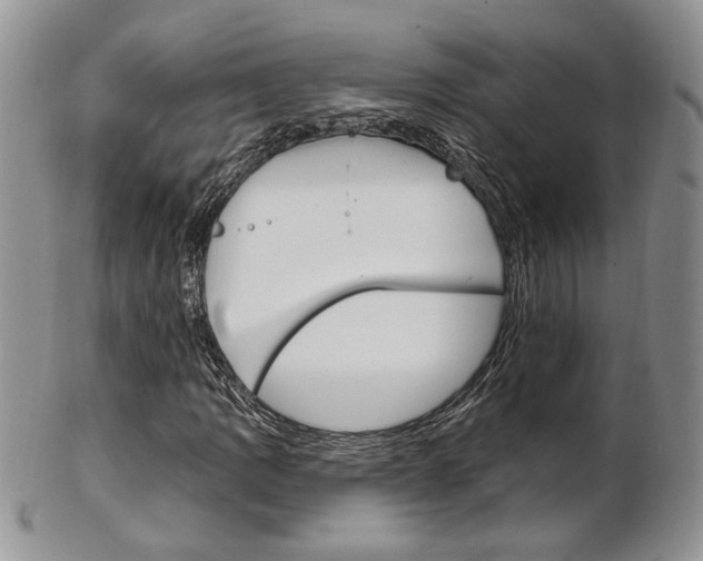 X0000103171109200808221122