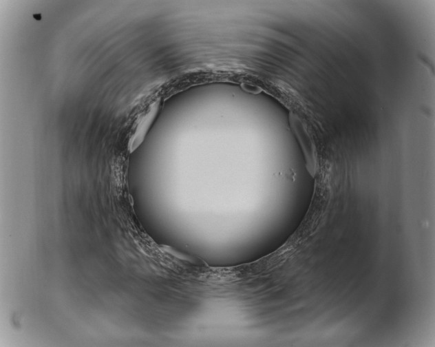 X0000103171110200808221122