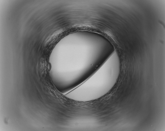X0000103171111200808221122