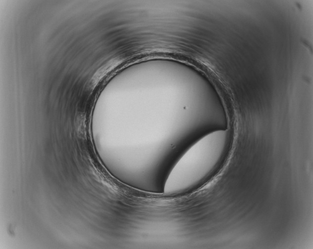 X0000103171113200808221122