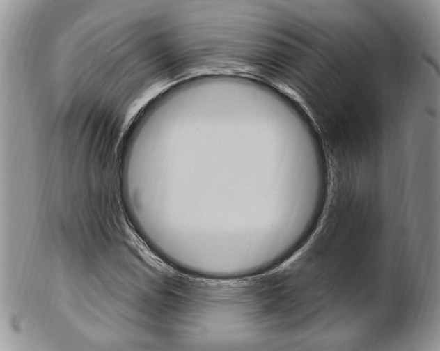 X0000103171114200808221122