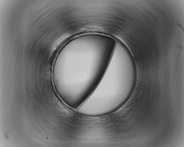 X0000103171115200808221122