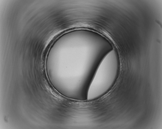 X0000103171116200808221122