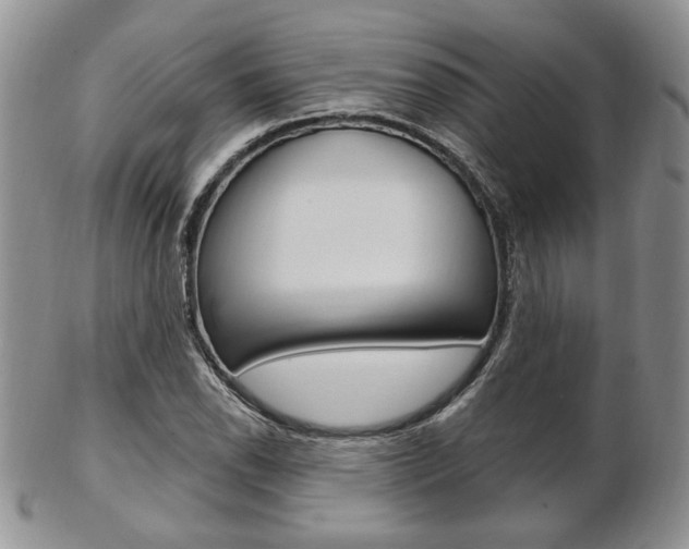 X0000103171118200808221122