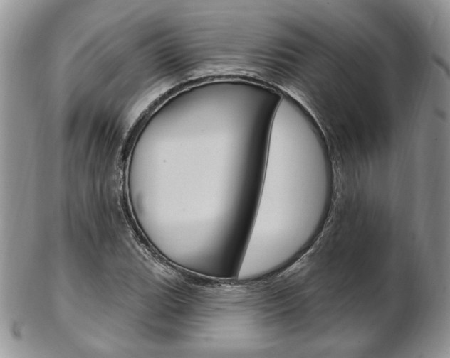 X0000103171119200808221122