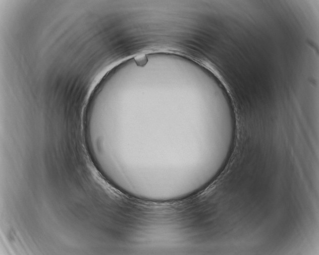 X0000103171124200808221122