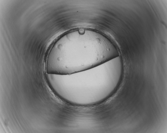 X0000103171125200808221122