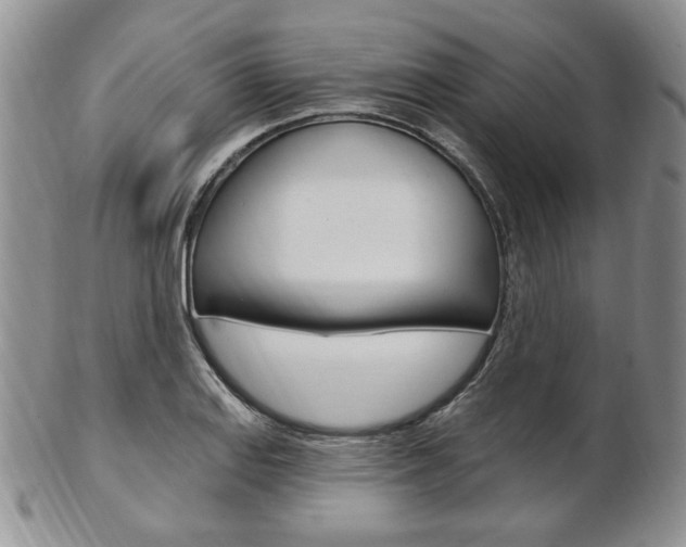 X0000103171127200808221122