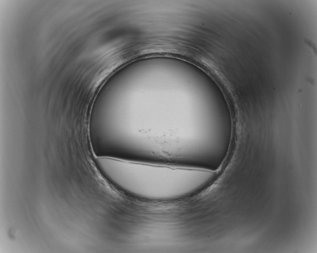 X0000103171129200808221122