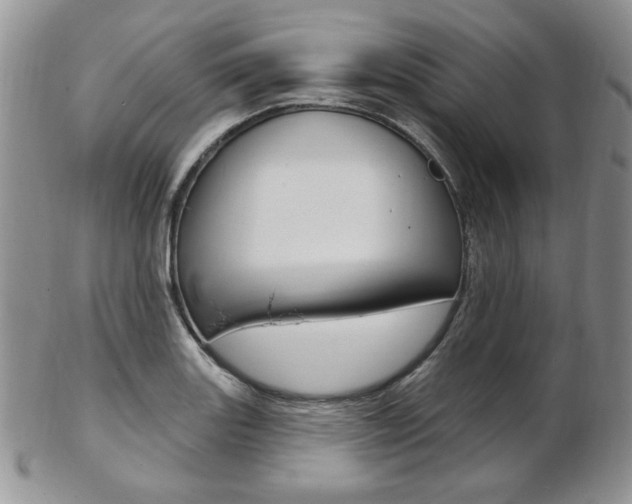 X0000103171131200808221122