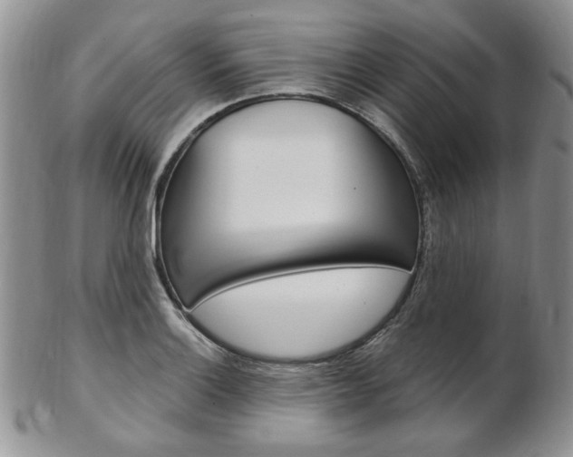 X0000103171132200808221122