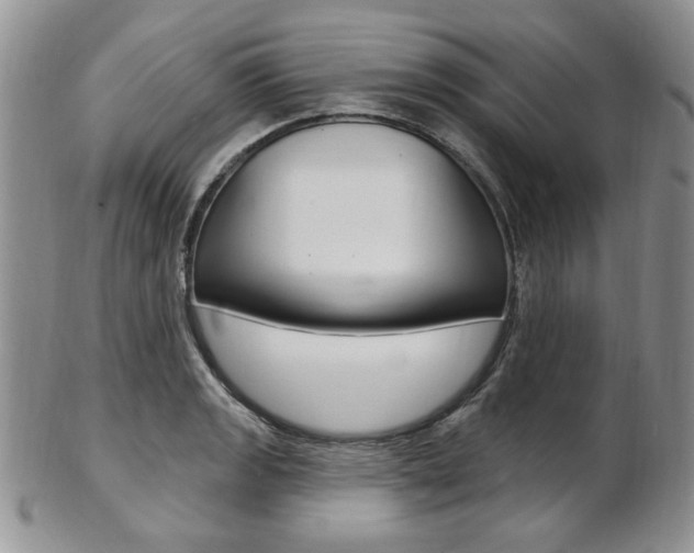 X0000103171133200808221122
